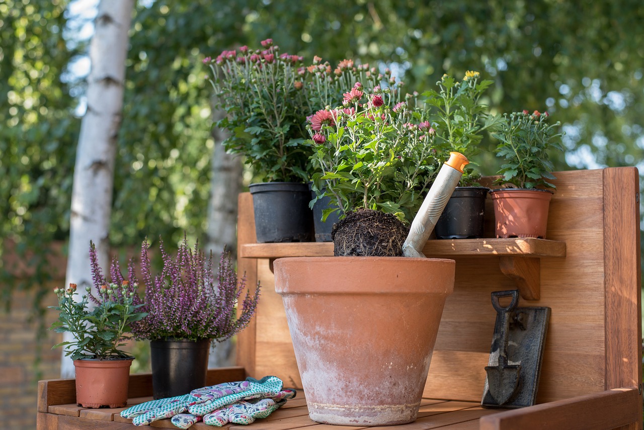 Indoor Gardening Tips for Winter Months